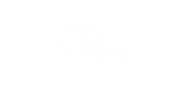 Galway Theatre Festival